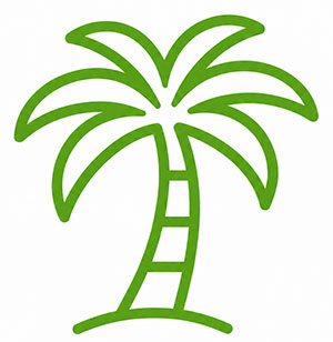 Palm Beach